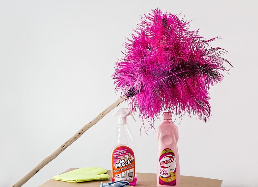 feather duster, cleaning, housework-709124.jpg